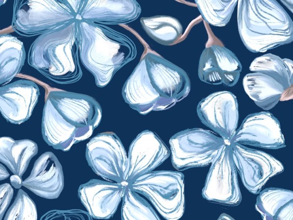 Procreate – Highlights with the&nbsp;pen